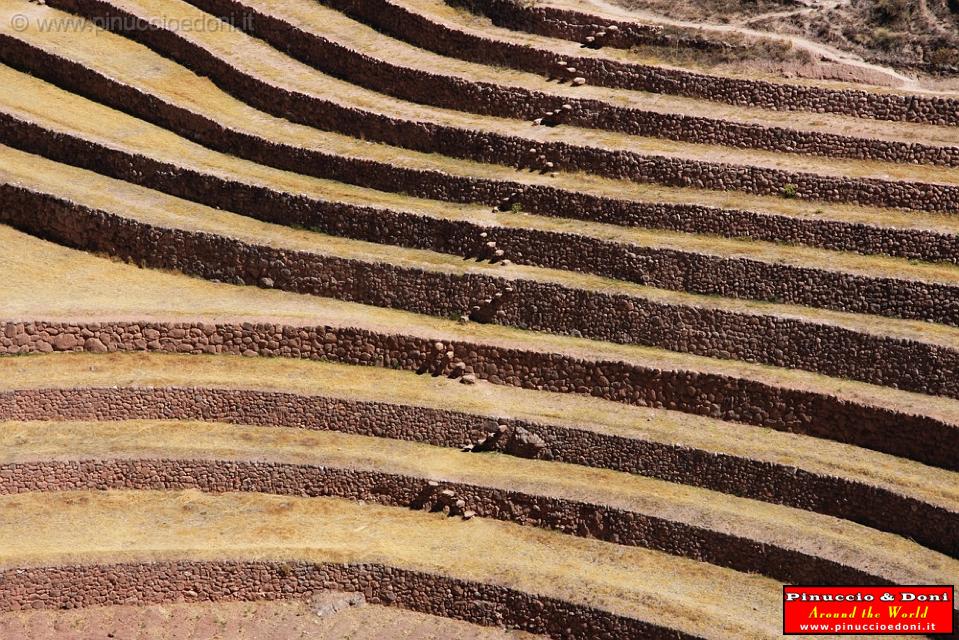 PERU - Sito agricolo di Moray - 09.jpg